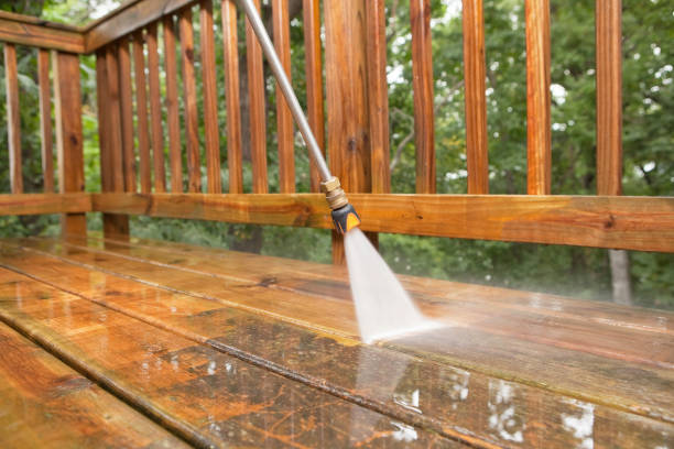 Best Animal Enclosure Cleaning  in Ponce Inlet, FL